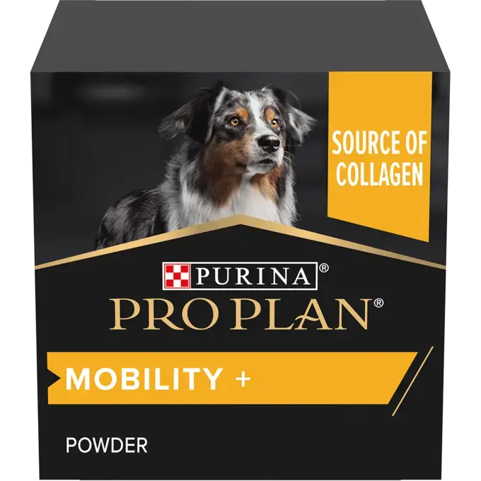 Pro plan near me sales